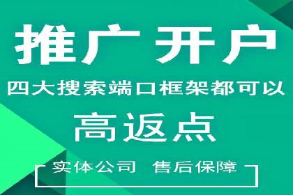 百度竞价排名服务在金融行业的推广策略